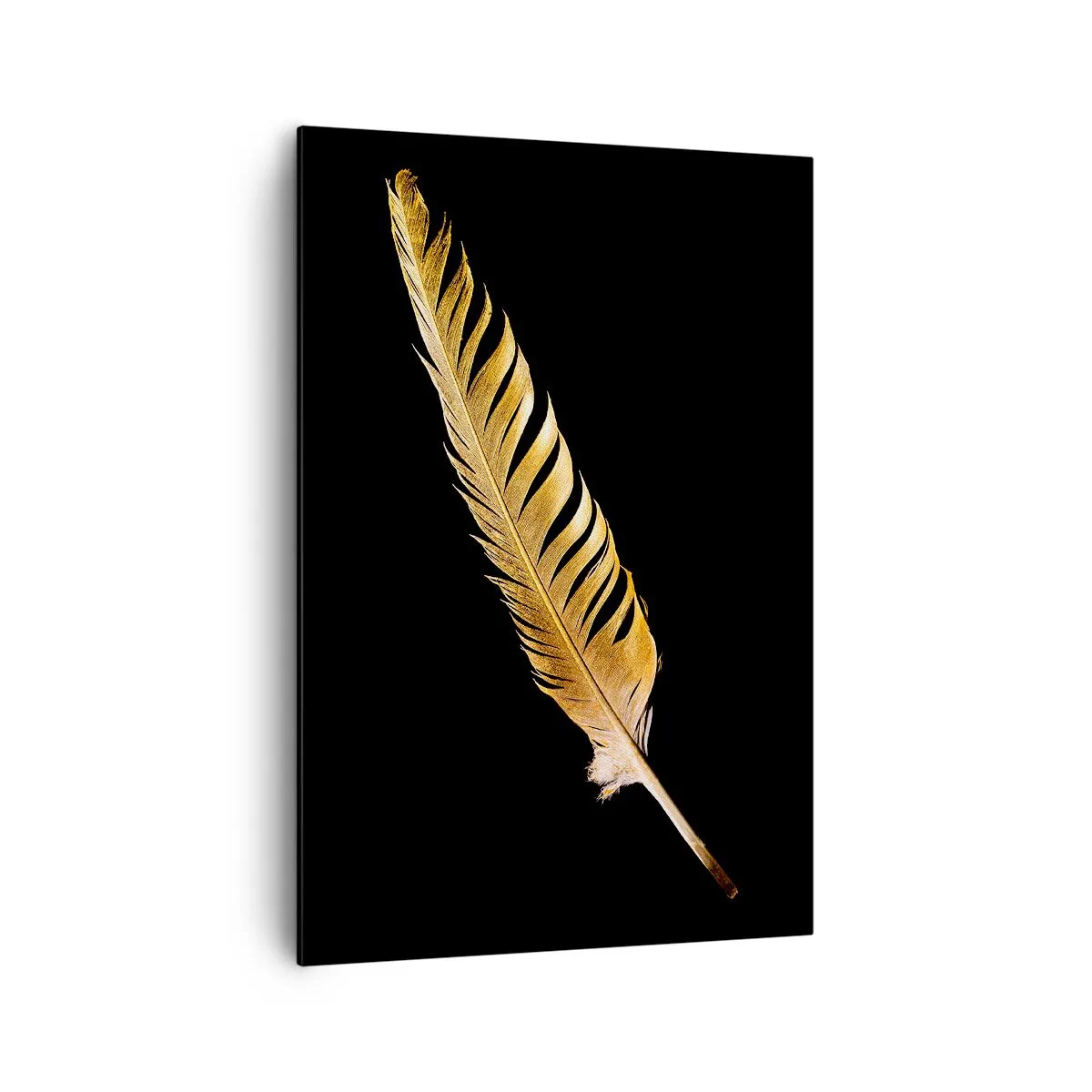 Tablou pe pânză - Pană aurie perfectă - 70x100 cm
