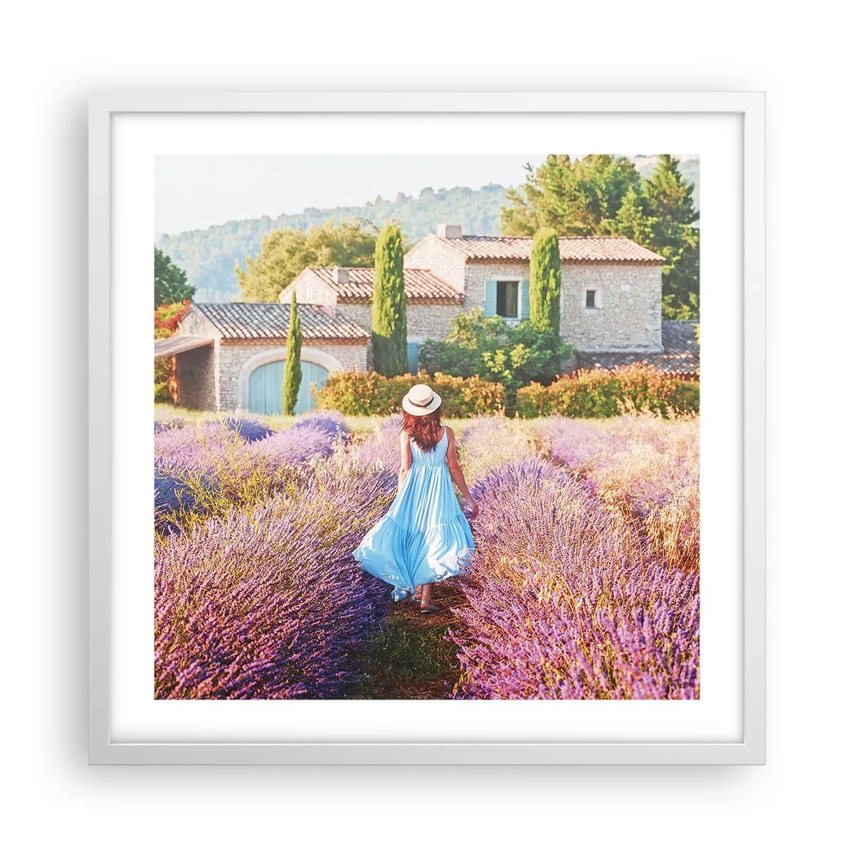 Poster în ramă albă - Fata de lavandă - 50x50 cm