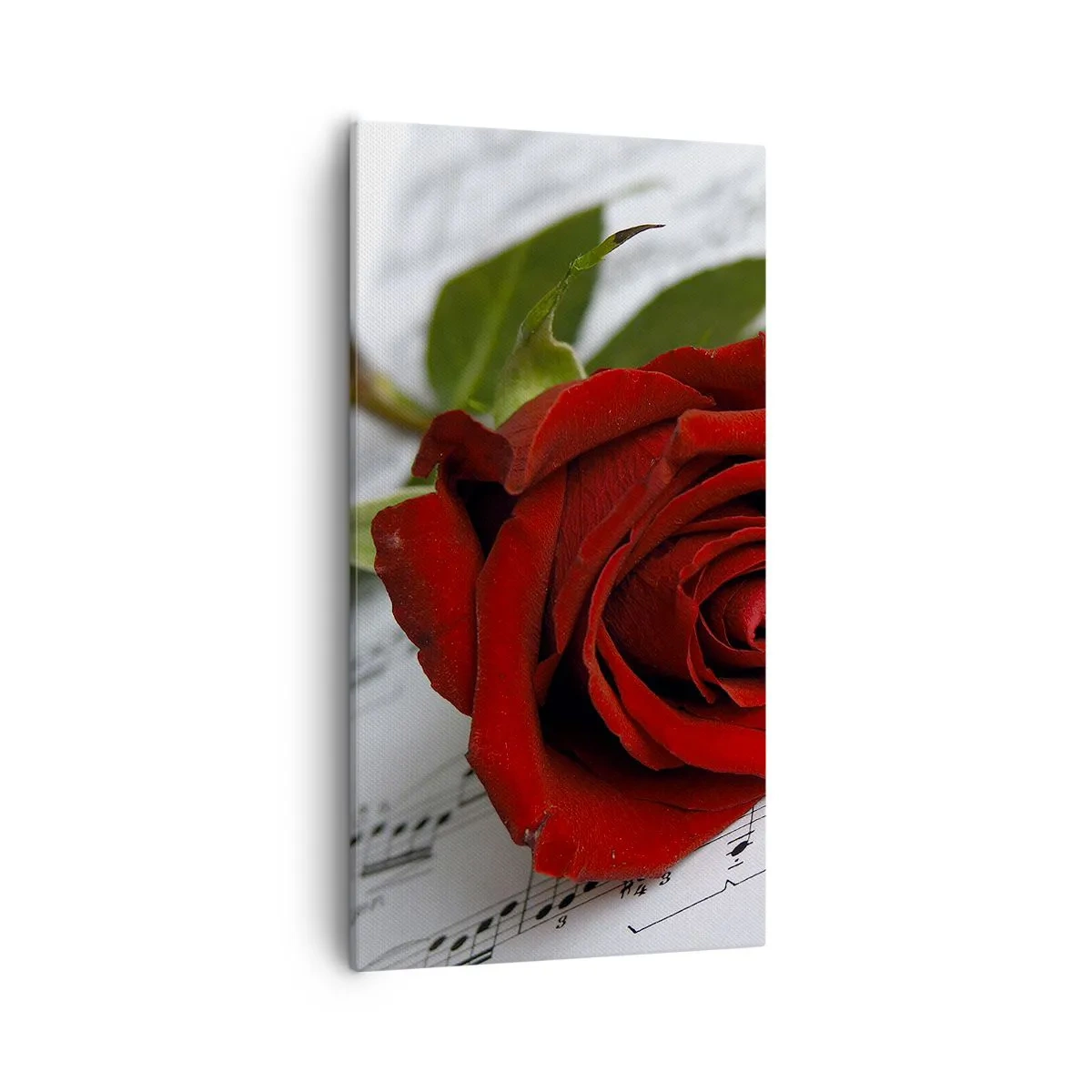 Tablou pe pânză - Muzica sentimentelor în stacojiu - 55x100 cm