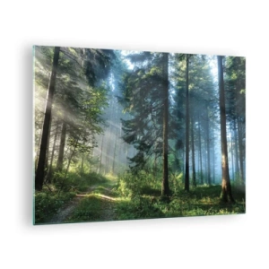 Tablou pe sticlă - O cărare de pădure în ceața dimineții printre copaci înalți - 70x50cm - Strălucirea de dimineață - Decorațiune modernă pentru perete pentru living și dormitor ARTTOR