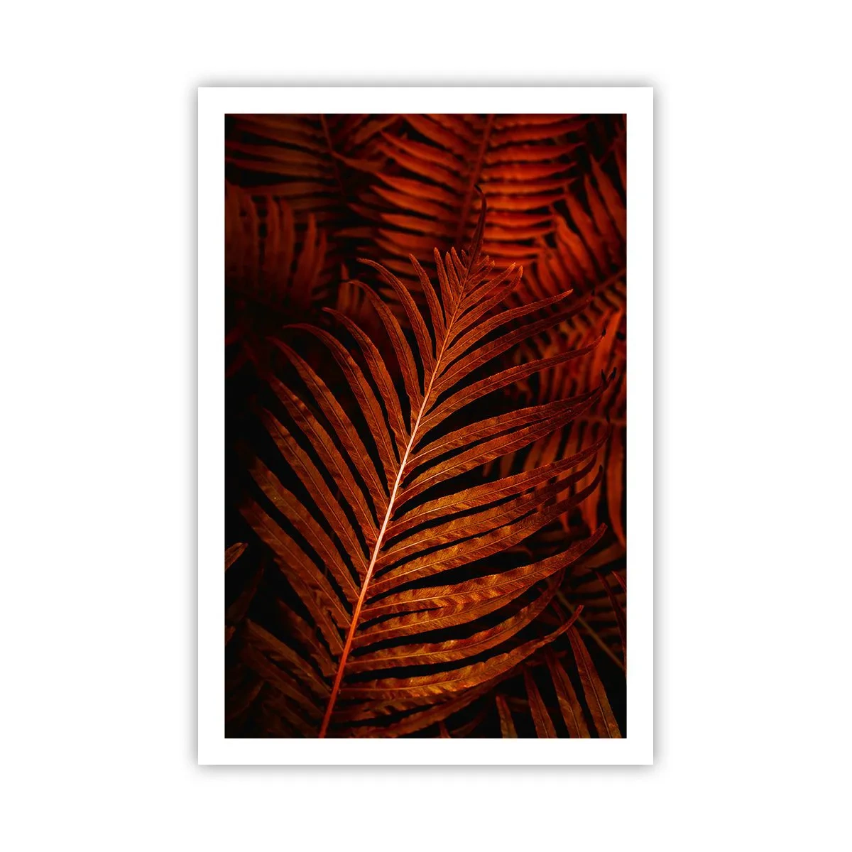 Poster - Ardoarea vieții - 61x91 cm