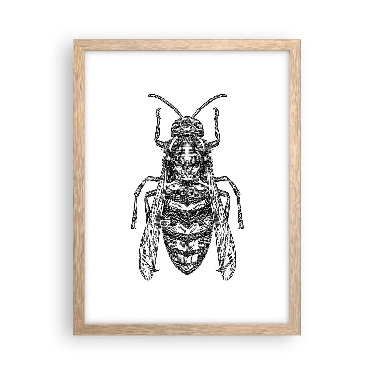 Poster în ramă de stejar deschis - De pe o planetă de insecte - 30x40 cm