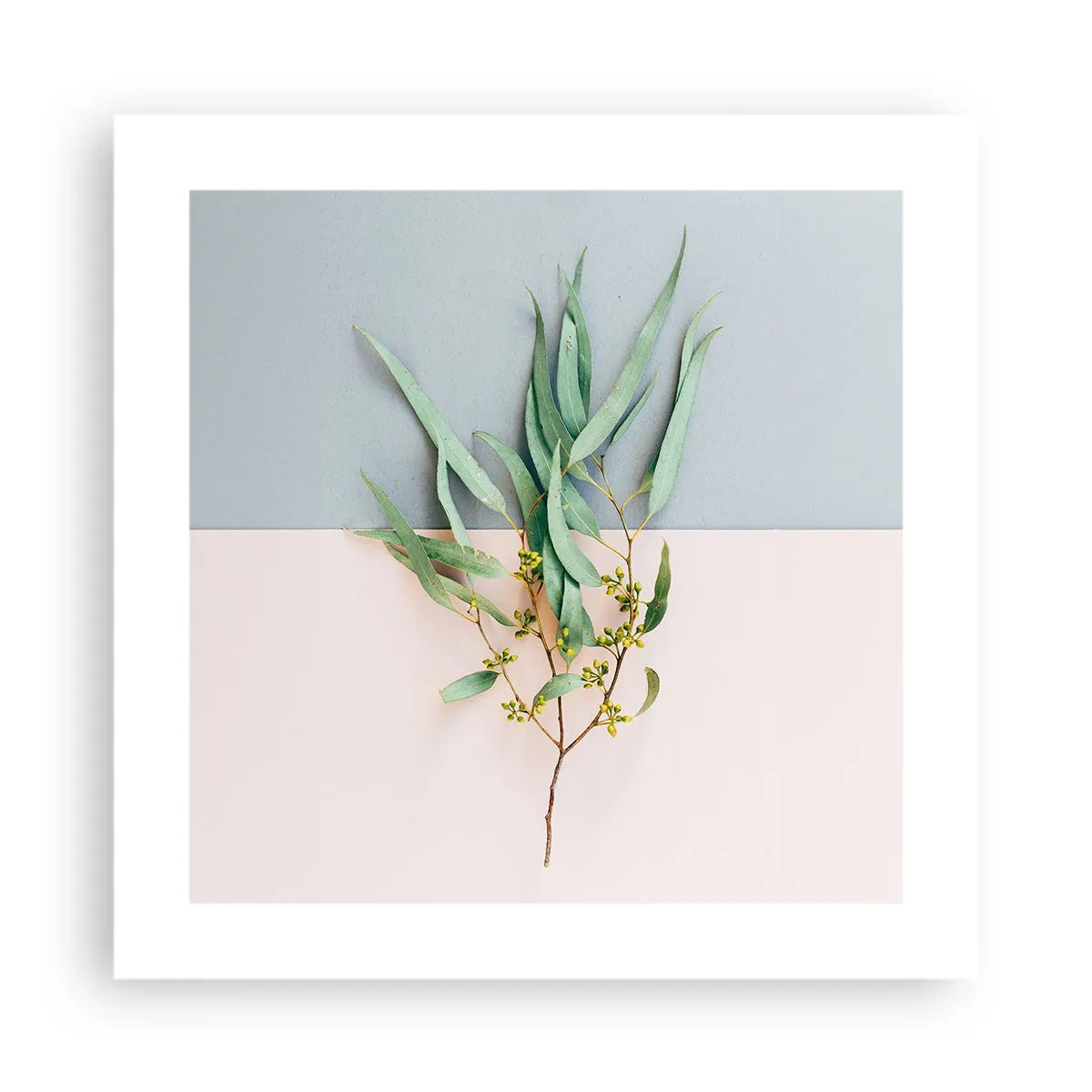 Poster - Subtilitate pastelată - 40x40 cm