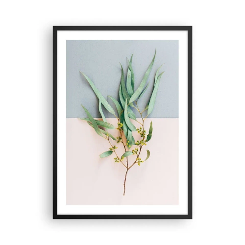 Poster în ramă neagră - O crenguță de eucalipt pe un fundal pastel - 50x70cm - Subtilitate pastelată - Decorațiune modernă pentru perete pentru living și dormitor ARTTOR