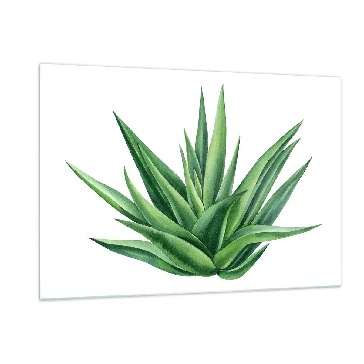 Tablou pe sticlă - Verde - putere - viață - 120x80 cm