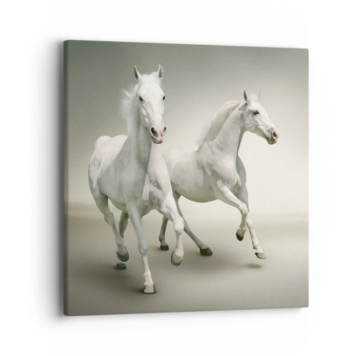 Tablou pe pânză - White power! - 40x40 cm