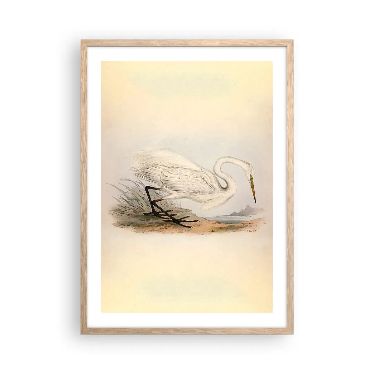 Poster în ramă de stejar deschis - Doamna în stufărișuri - 50x70 cm