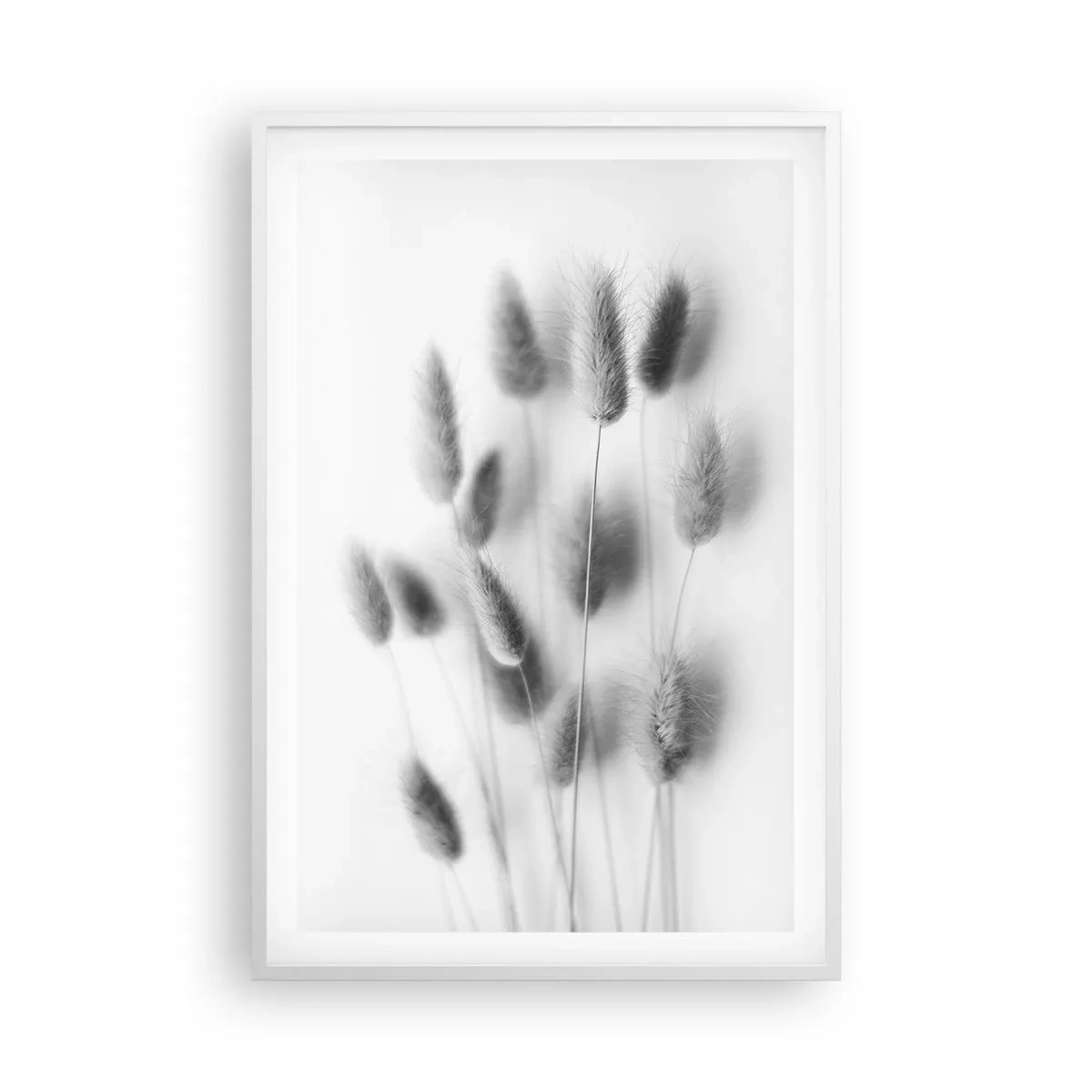 Poster în ramă albă - Pufoșenia ierbii - 61x91 cm