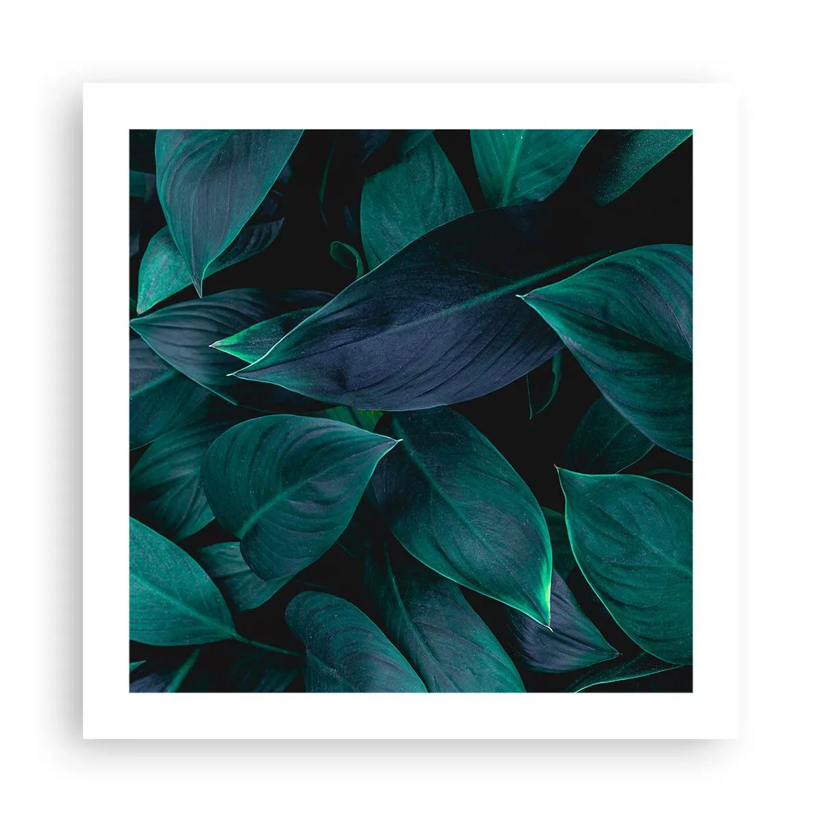 Poster - Verdeața în sine - 50x50 cm