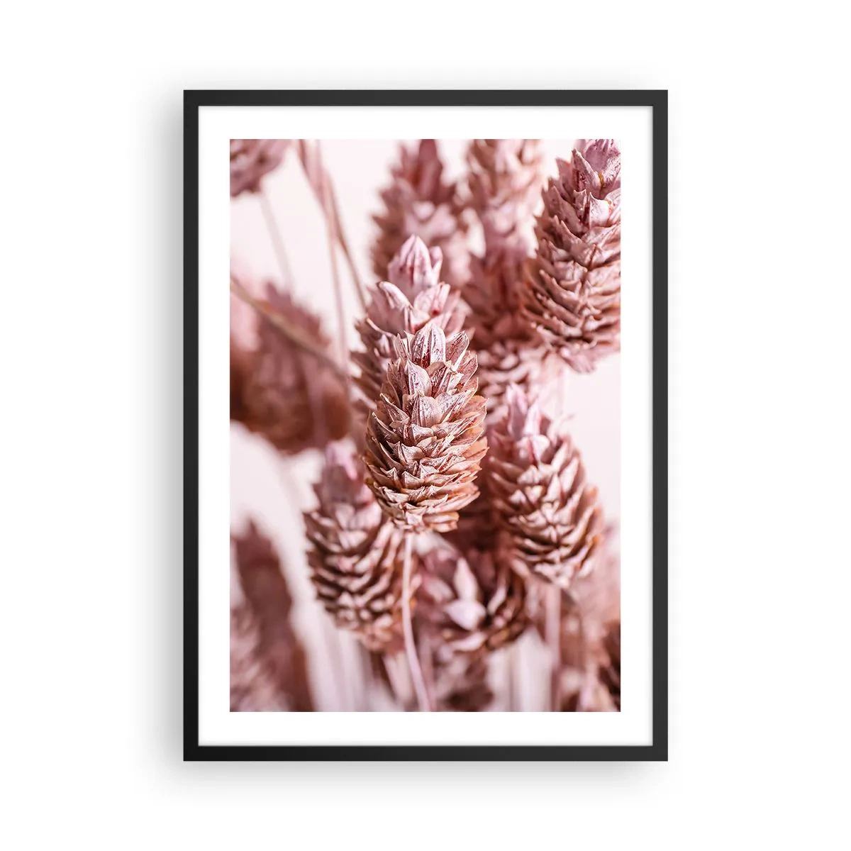 Poster în ramă neagră - Prim-plan cu flori uscate în nuanțe de roz - 50x70cm - Aparent discrete - Decorațiune modernă pentru perete pentru living și dormitor ARTTOR
