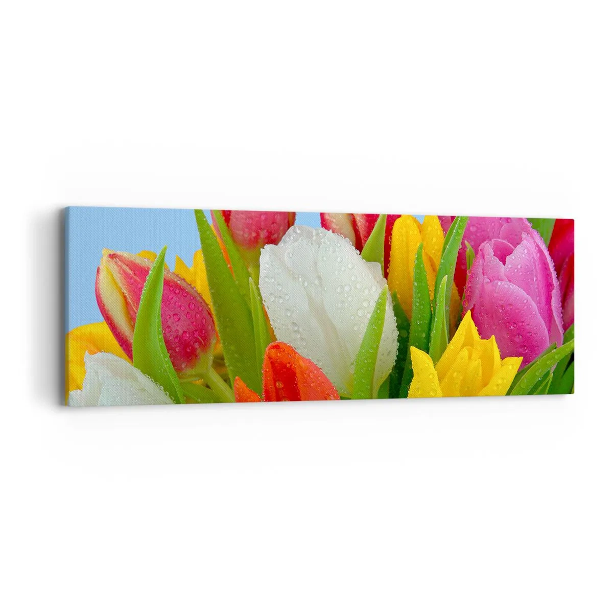 Tablou pe pânză - Un curcubeu floral în picături de rouă - 90x30 cm