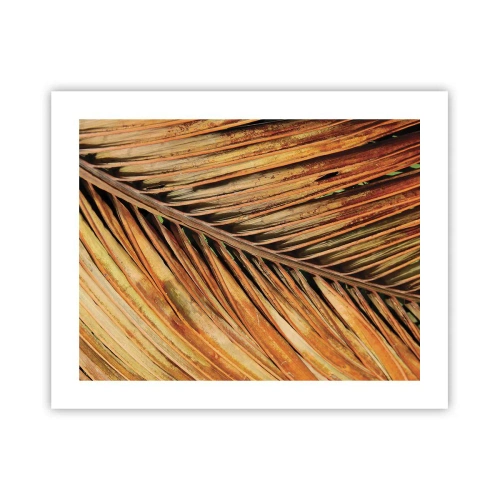Poster - Aur de nucă de cocos - 50x40 cm