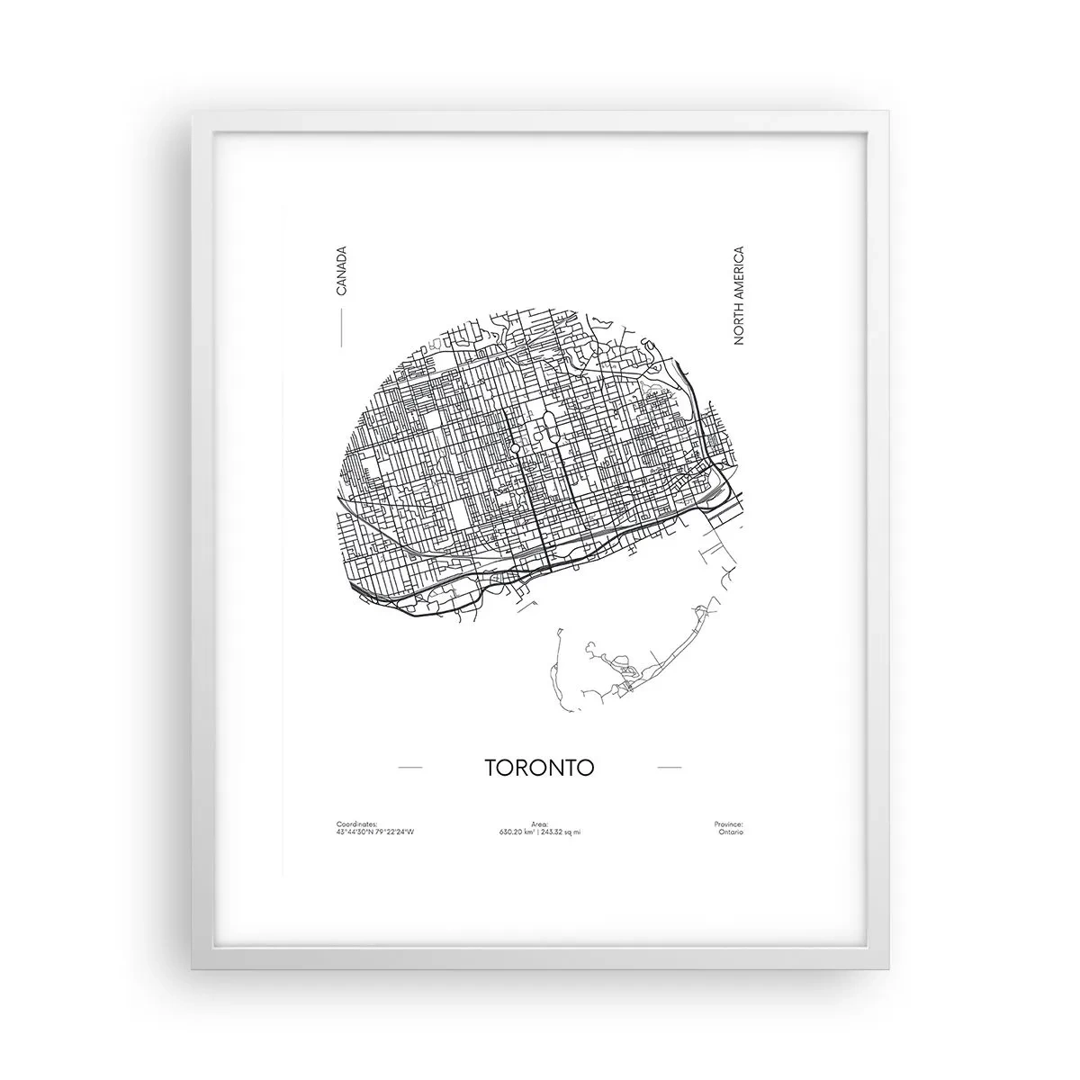 Poster în ramă albă - Anatomia Toronto - 40x50 cm
