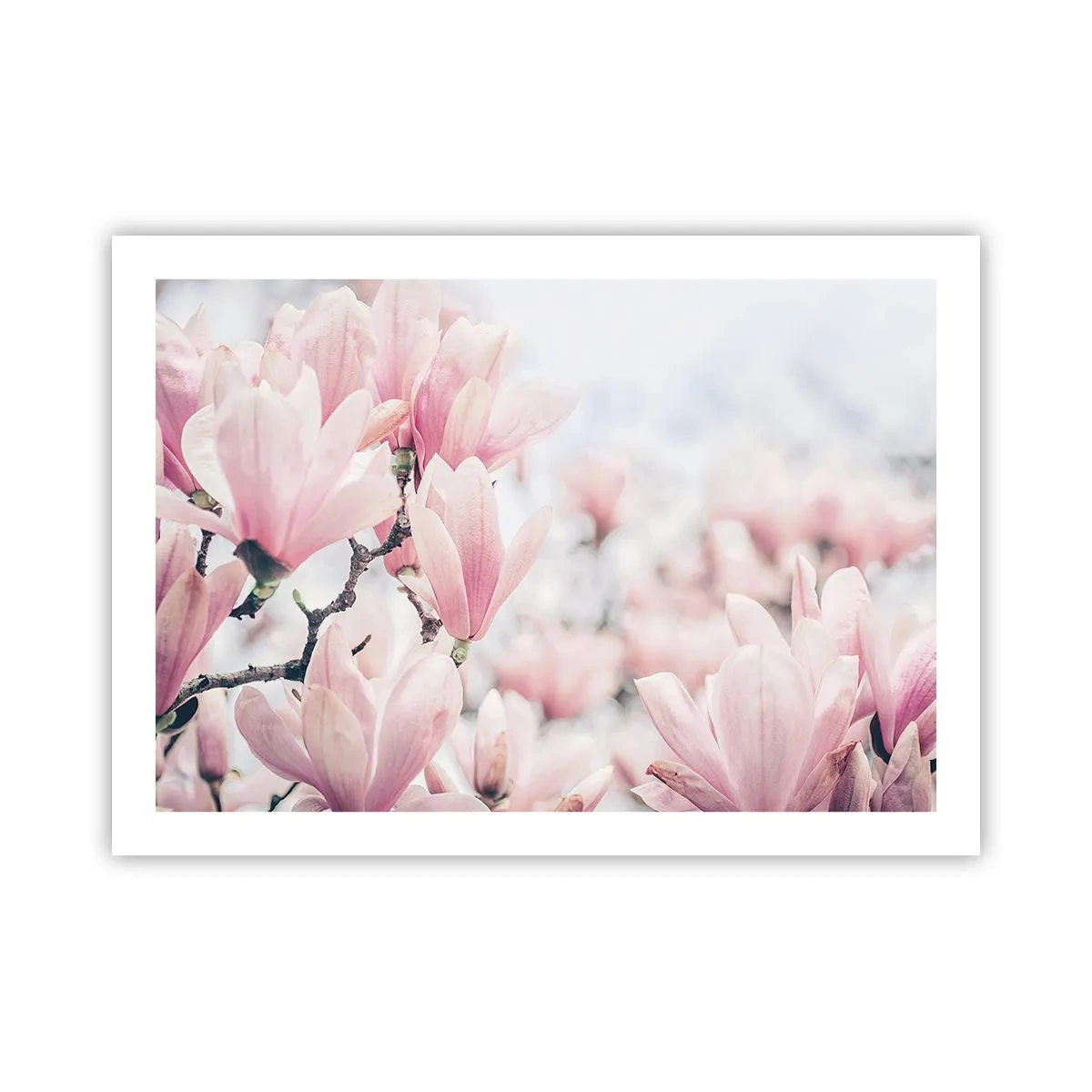 Poster - Idealul de subtilitate - 70x50 cm