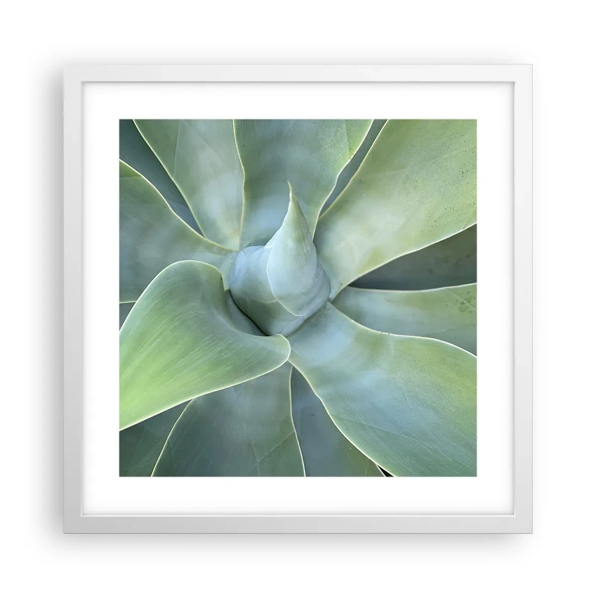 Poster în ramă albă - Nașterea verdeții - 40x40 cm