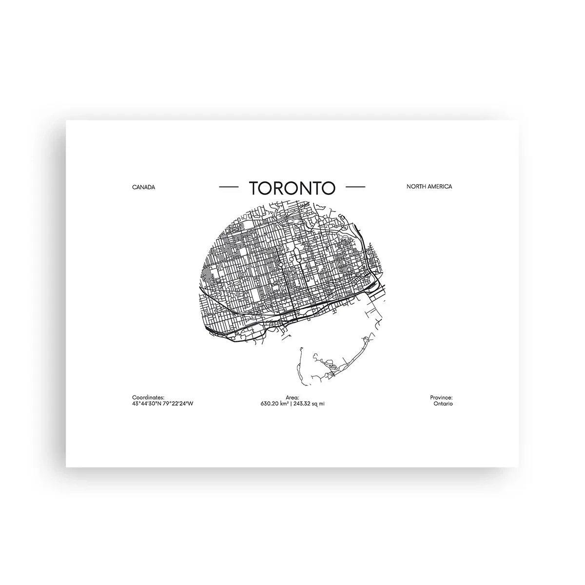 Poster - Anatomia Toronto - 40x30 cm
