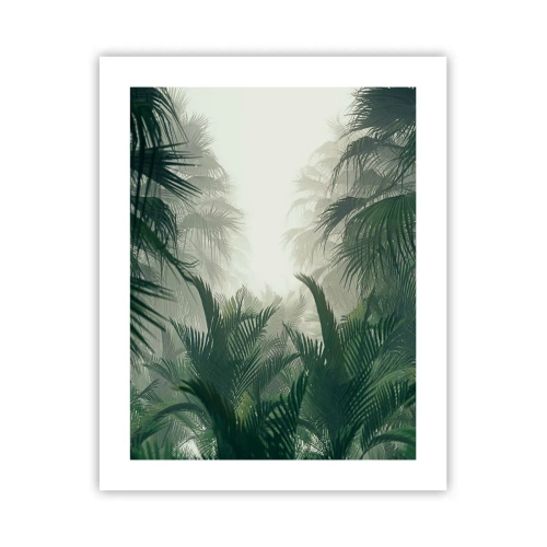 Poster - Mister tropical - 40x50 cm