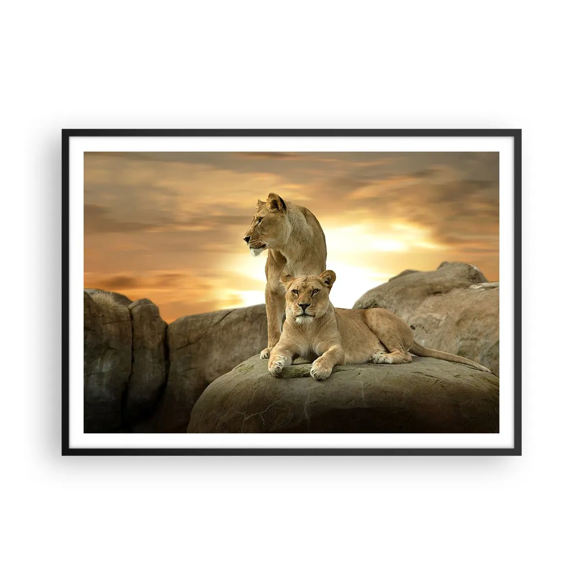 Poster în ramă neagră - Maiestate regală - 100x70 cm