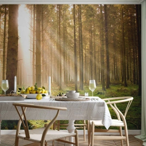 Tapet Standard Eco - Spiridușii sunt pe cale să apară - pădure, Raze de soare, Natură - 100x70 cm