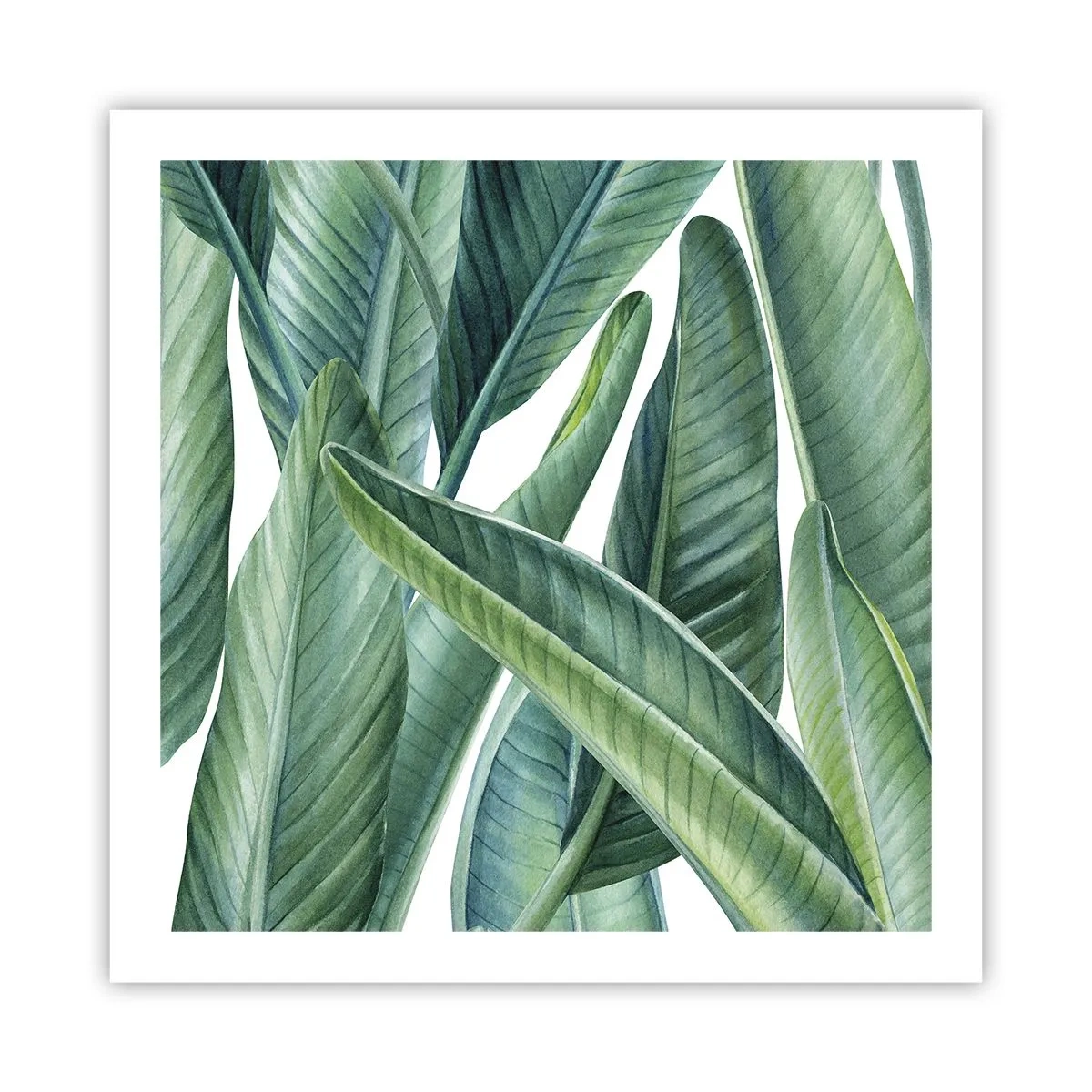 Poster - Verdeața în sine - 60x60 cm