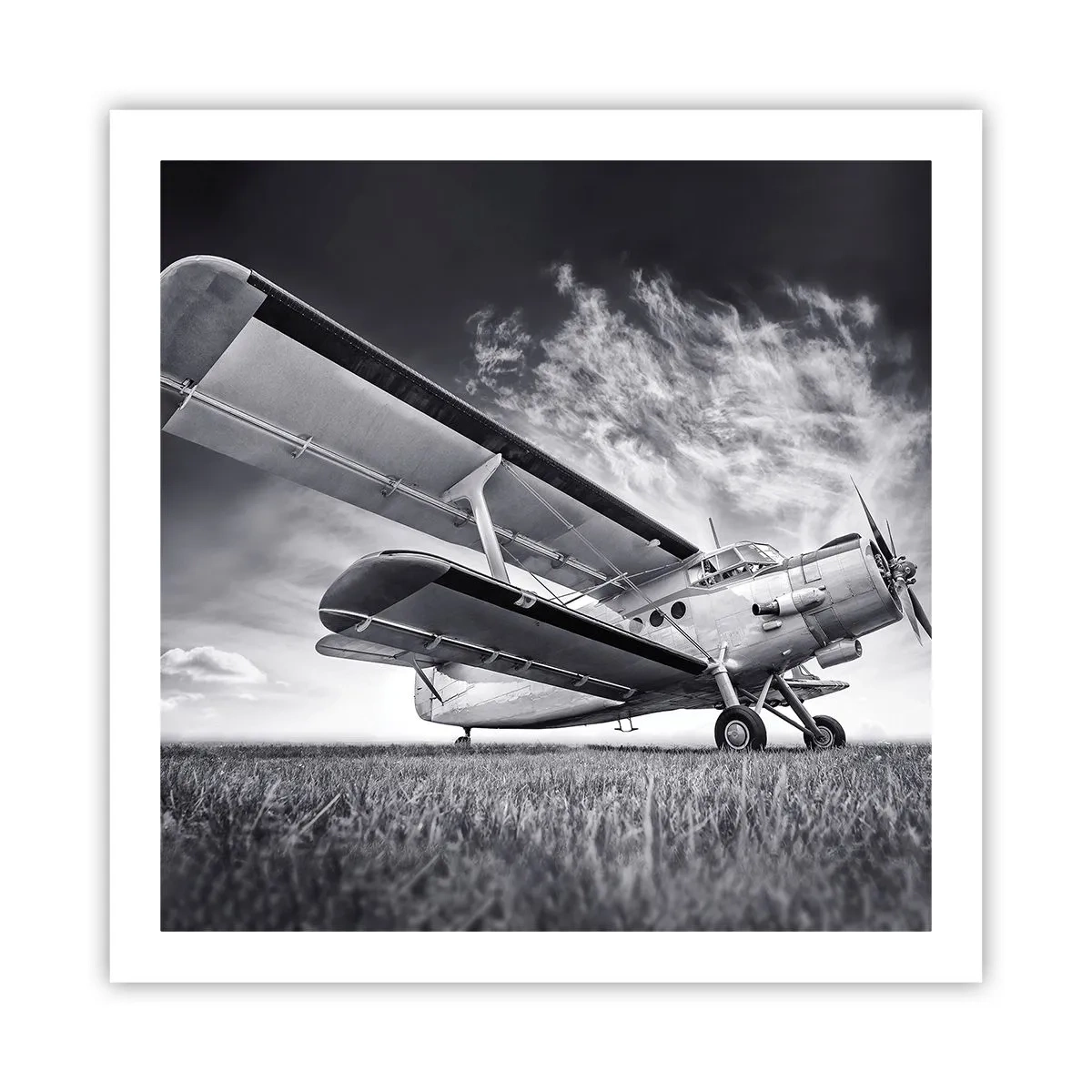 Poster - Rătăcitorul înaripat - 60x60 cm