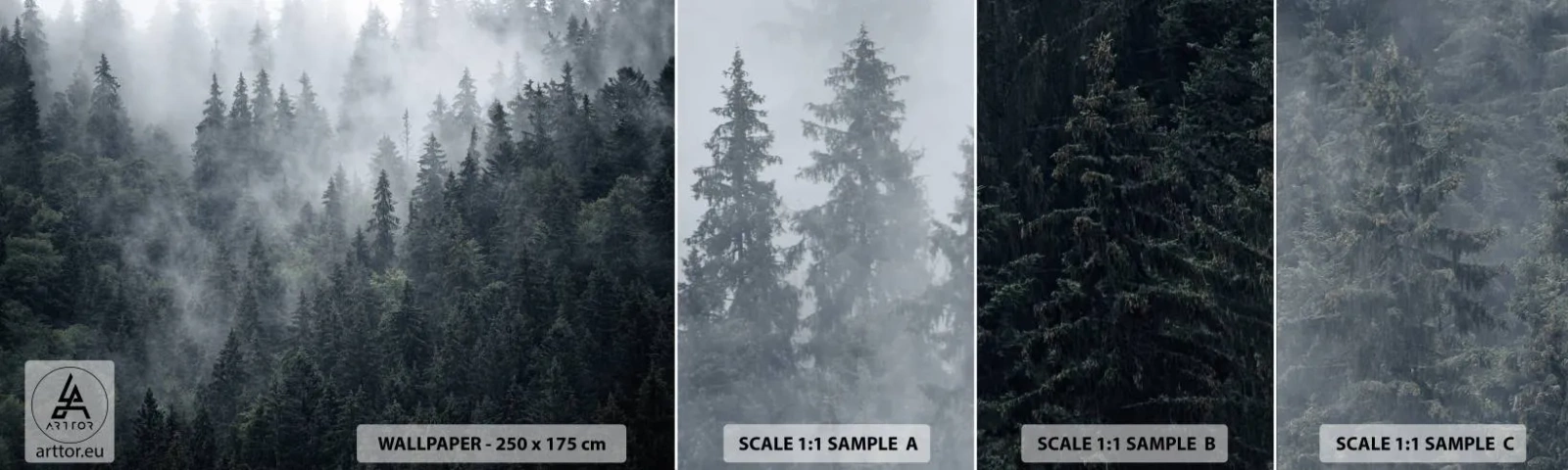 Mostră tapet autocolant Deluxe Sticker - Zori de pădure - Peisaj, pădure, Natură - 100x30 cm