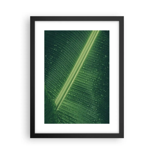 Poster în ramă neagră - Structura verdelui - 30x40 cm