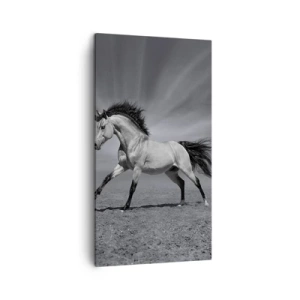 Tablou pe pânză - Născut pentru a încânta - 45x80 cm