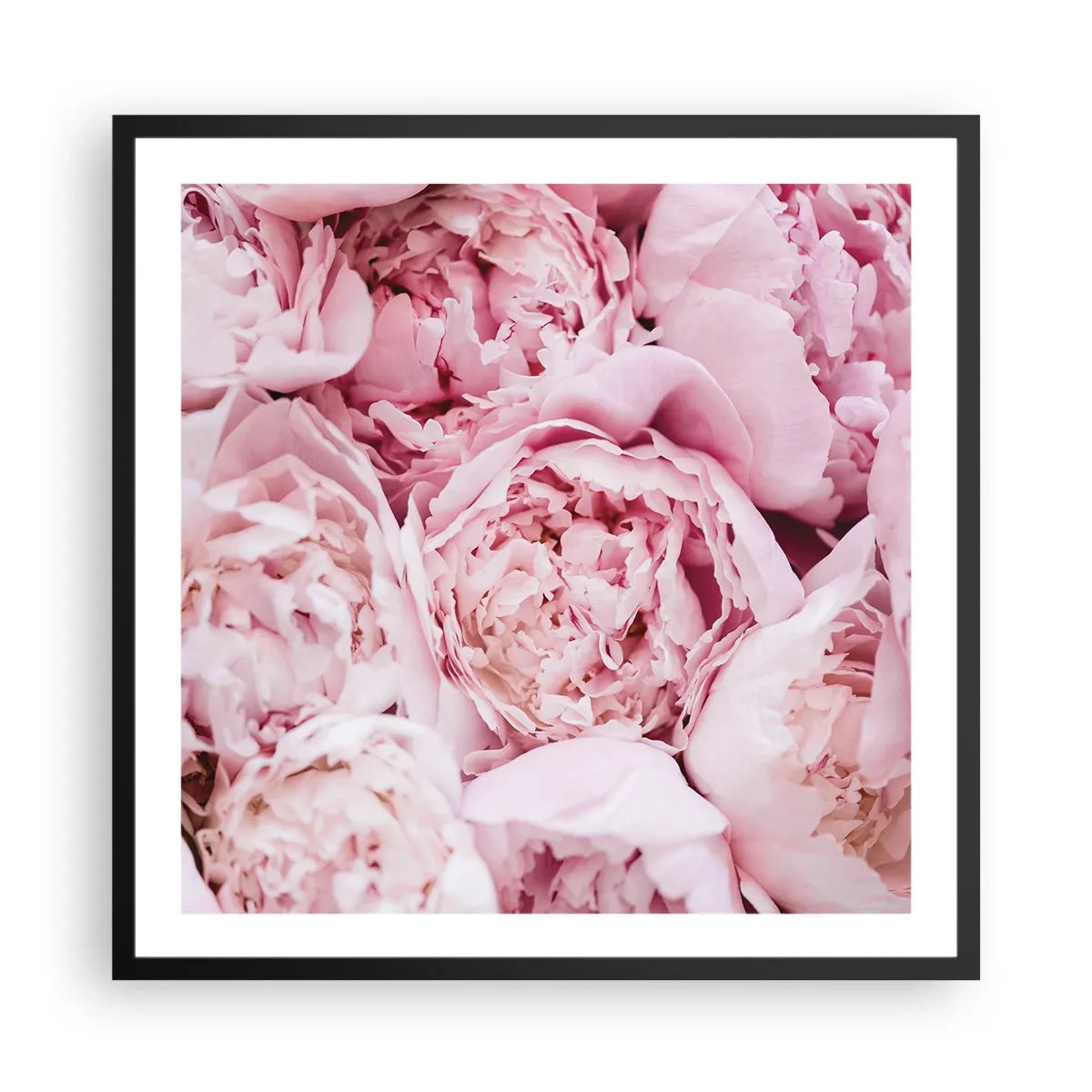 Poster în ramă neagră - Îmbrățișate și parfumate - 60x60 cm