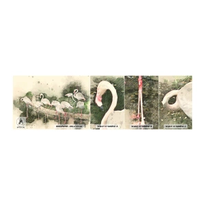 Mostră tapet autocolant Deluxe Sticker - Un vis exotic - Păsări, Flamingos, Natură - 100x30 cm