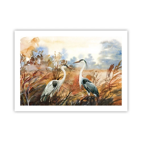 Poster - Încotro în toamnă? - 70x50 cm