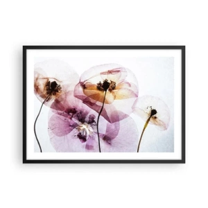 Poster în ramă neagră - Corp de flori transparente - 70x50 cm