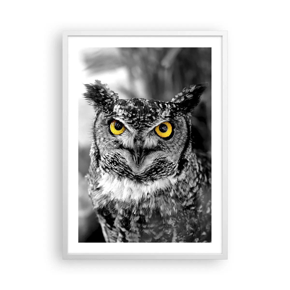 Poster în ramă albă - Nimic nu poate fi ascuns - 50x70 cm