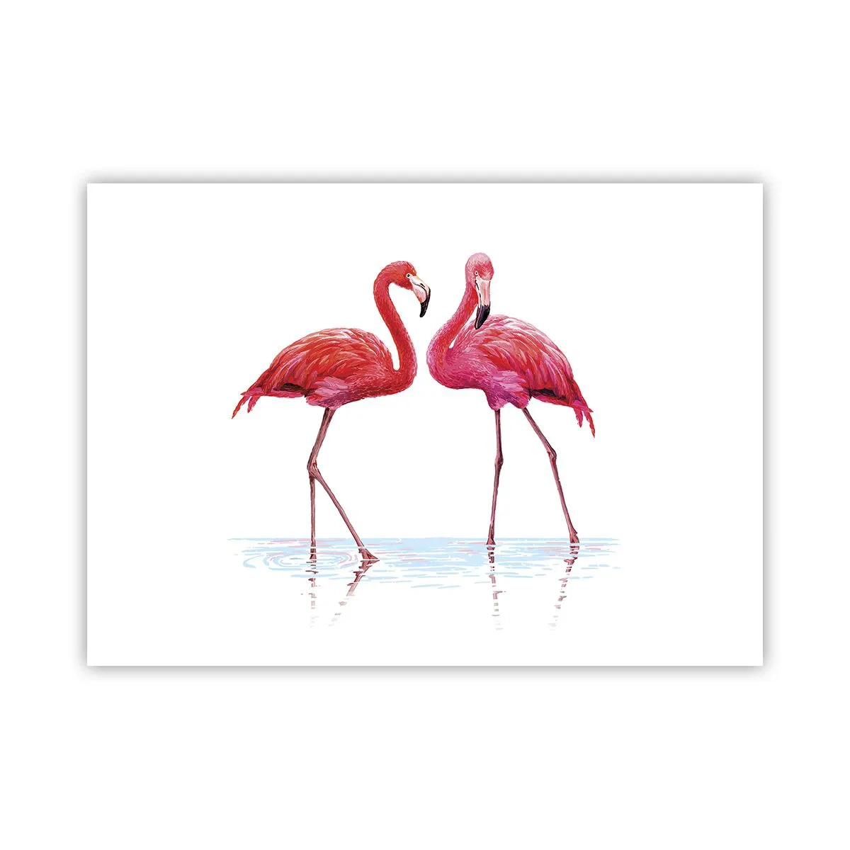 Poster - Pink randez-vous - 70x50 cm