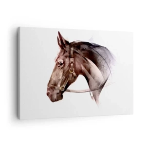 Tablou pe pânză Canvas - Un profil de cal într-o formă artistică delicată pe un fundal alb - 70x50cm - Ce farmec - Decorațiune modernă pentru perete pentru living și dormitor ARTTOR