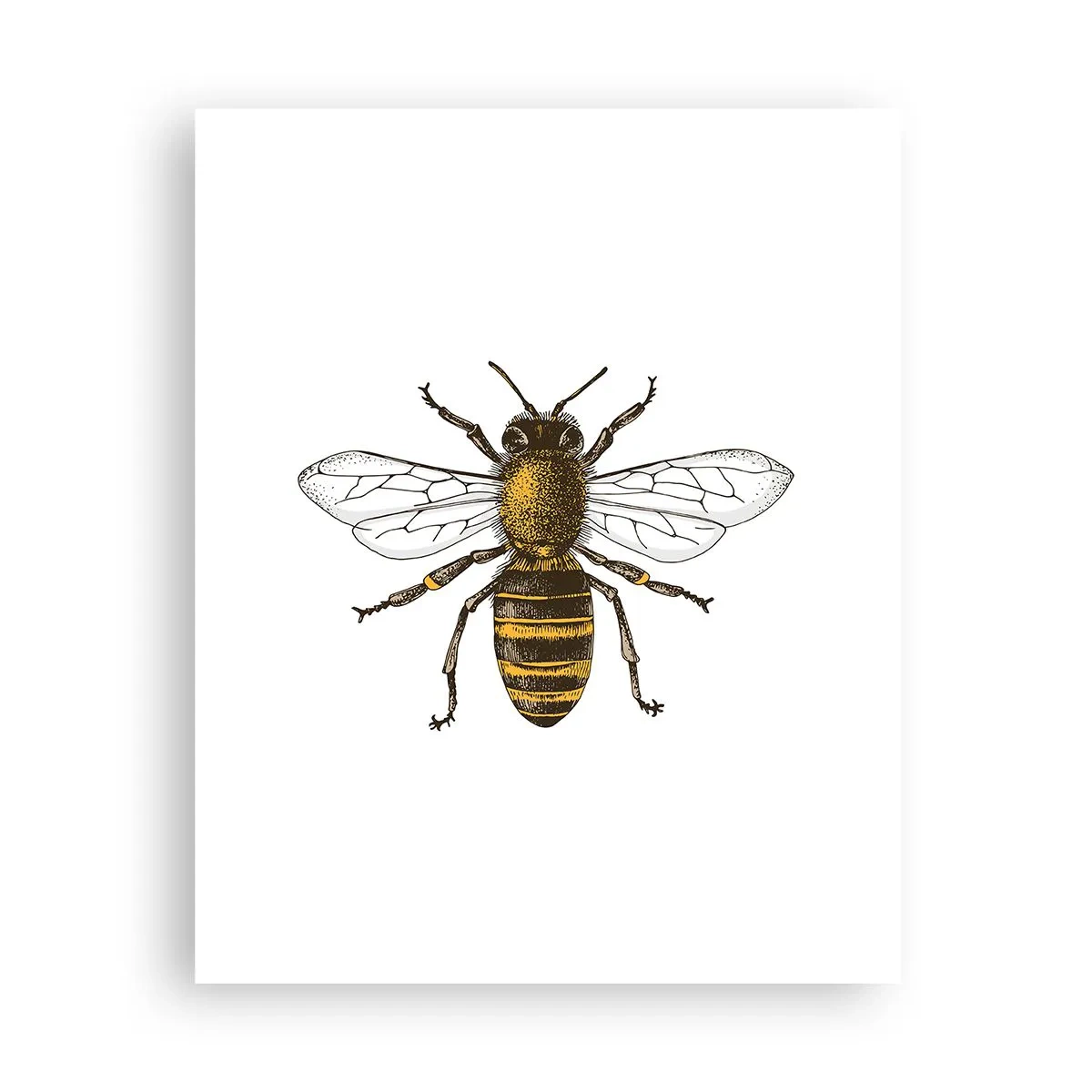 Poster - Frumoasă și bună - 40x50 cm