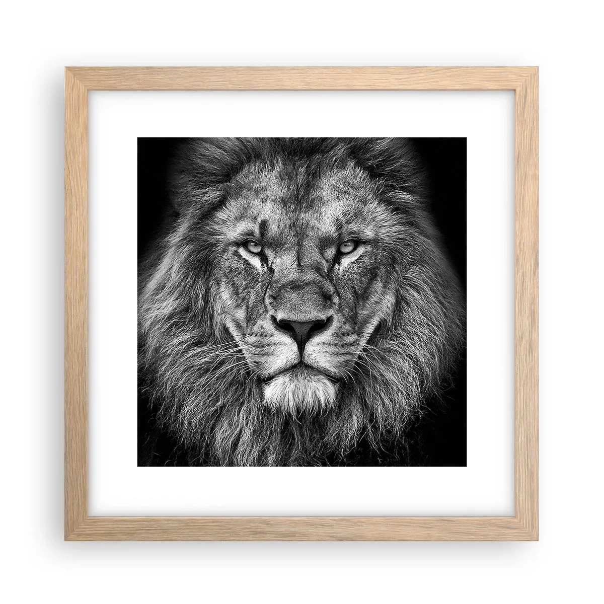 Poster în ramă de stejar deschis - În ținuta de încoronare - 30x30 cm