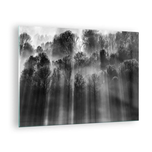 Tablou pe sticlă - Raze de lumină alb-negru care pătrund în pădure - 70x50cm - În fluxuri de lumină - Decorațiune modernă pentru perete pentru living și dormitor ARTTOR