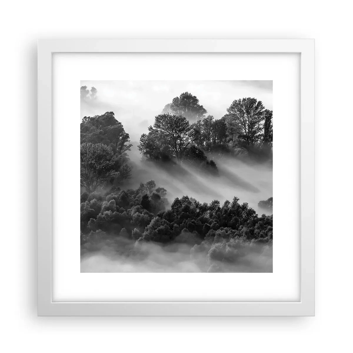 Poster în ramă albă - Trezindu-se din somn - 30x30 cm