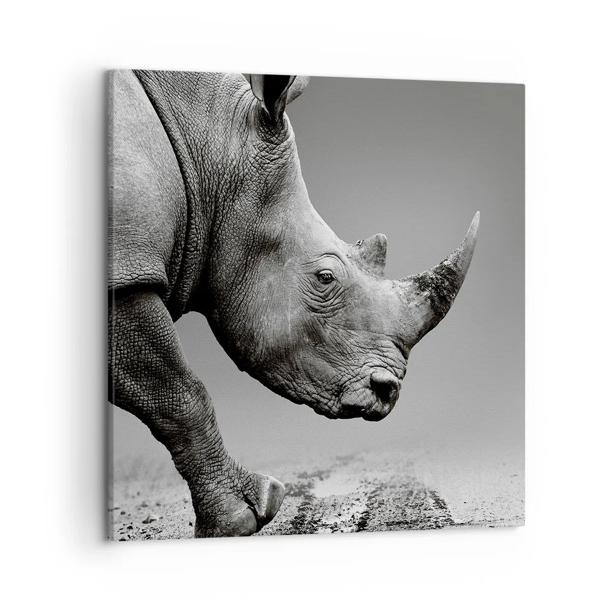 Tablou pe pânză - O forță de neoprit - 50x50 cm