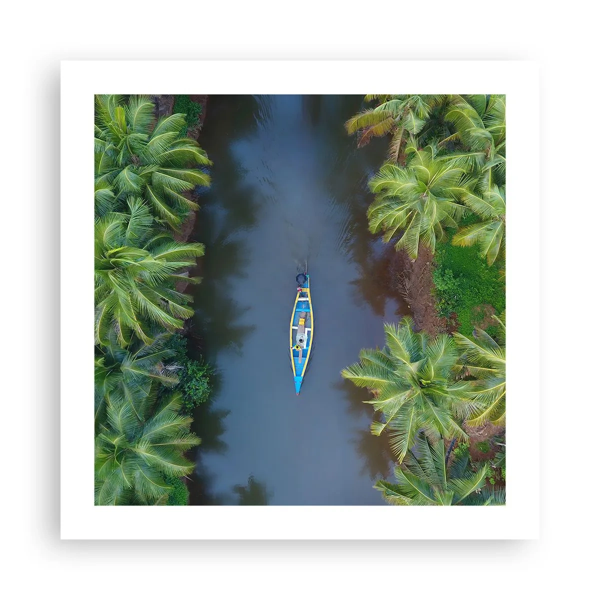 Poster - Pe traseul tropical - 50x50 cm