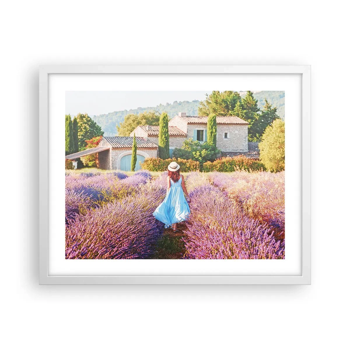 Poster în ramă albă - Fata de lavandă - 50x40 cm