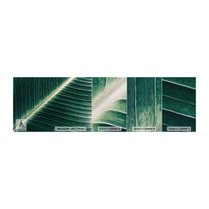 Mostră tapet Premium Canvas - Ritmul naturii - Abstracția, Frunză verde, Grafică - 100x30 cm