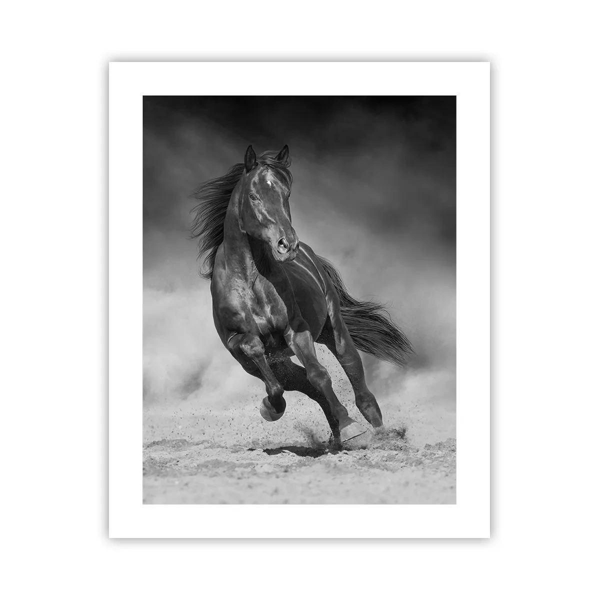 Poster - Dorința emirului - 40x50 cm