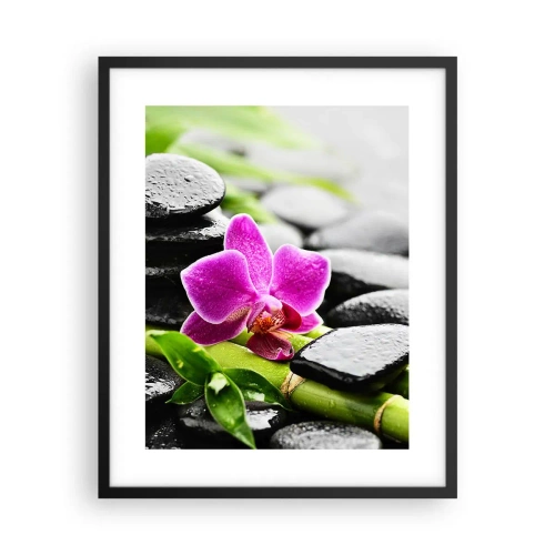 Poster în ramă neagră - Într-un echilibru pașnic - 40x50 cm