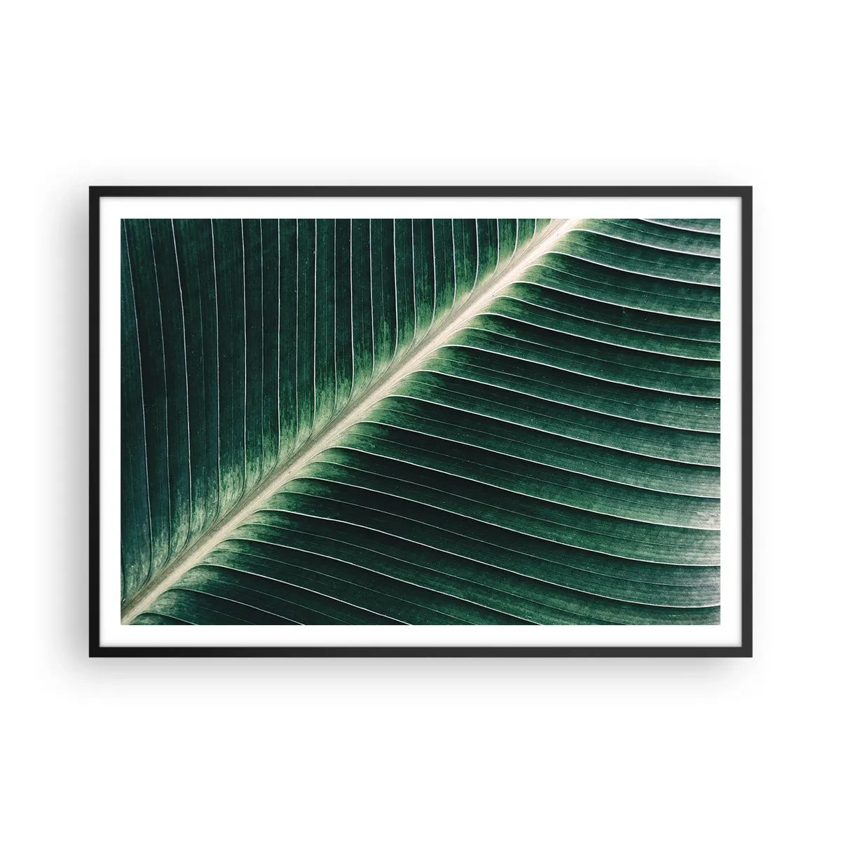 Poster în ramă neagră - Ritmul naturii - 100x70 cm
