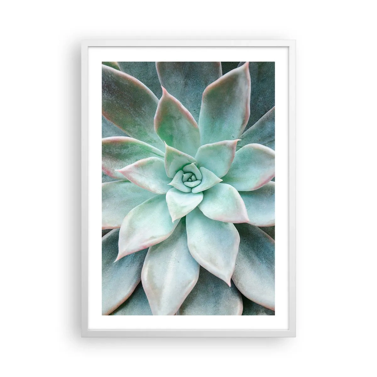 Poster în ramă albă - Inima deșertului - 50x70 cm