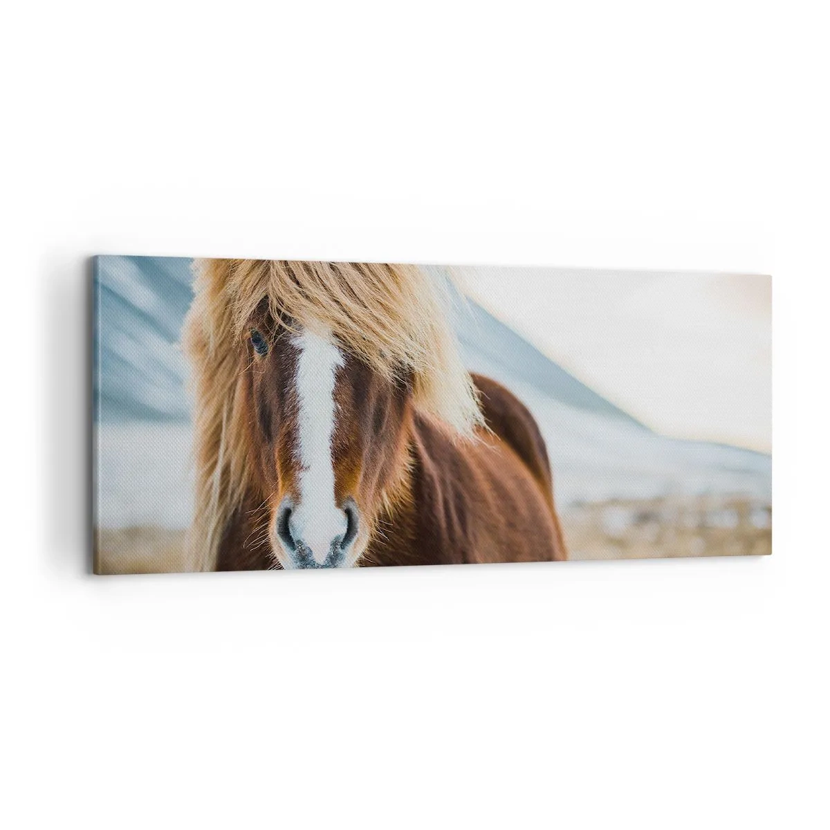 Tablou pe pânză - Simțiți libertatea? - 100x40 cm