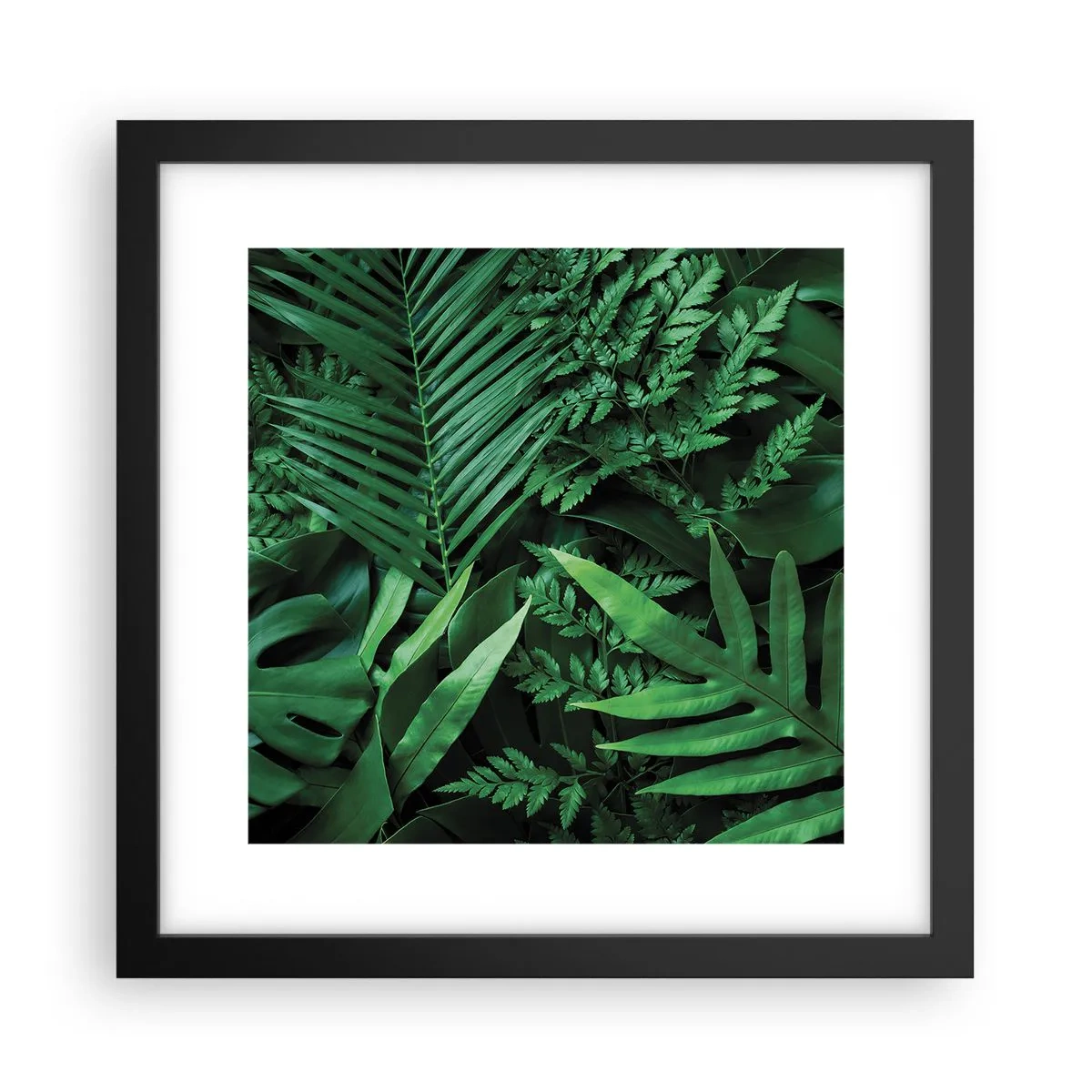 Poster în ramă neagră - Înfășurate în verde - 30x30 cm