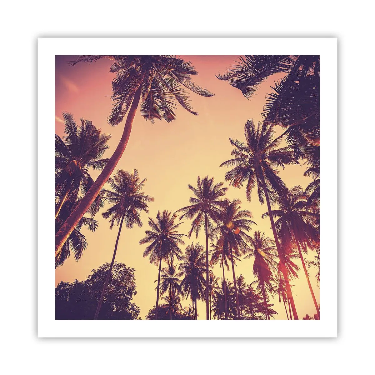 Poster - Variație tropicală - 60x60 cm